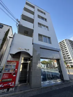 バーベナの画像