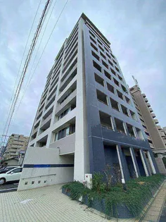 ラピスラズリカーサの画像