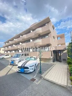 ルミエールの画像