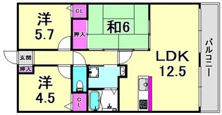 兵庫県西宮市柳本町【マンション】の間取り