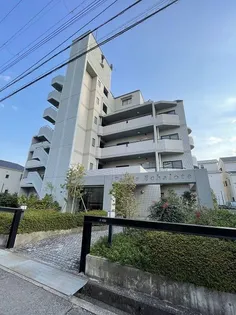 リベルテセオミの画像
