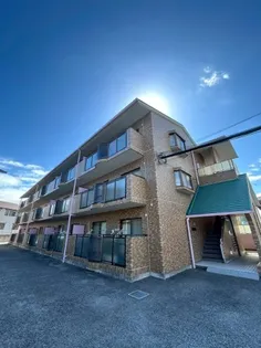 パレドールJOEの画像