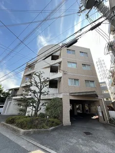 メゾンドゥフレールの画像