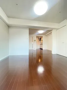 レジディア博多II【11階】の内装