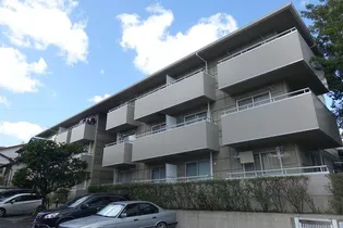 Mハイツ【3階】の外観