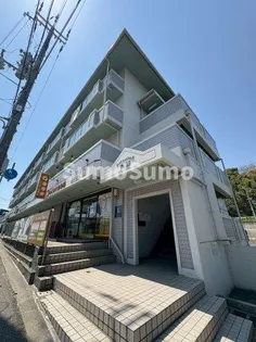 リバーパレス中西【3階】の外観