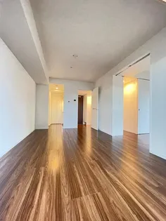 RJRプレシア吉塚駅前【2階】の居間