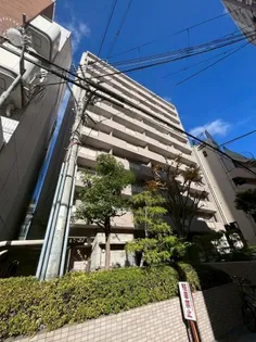 グランドメゾン阪神西宮【8階】の外観