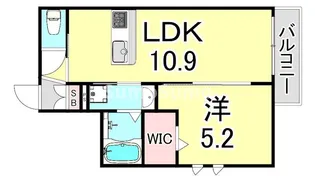 兵庫県西宮市甲子園六番町【アパート】の間取り