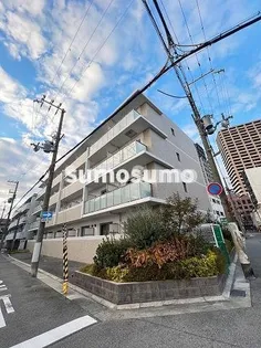 アルバ立花の画像