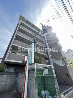 サンステラの画像