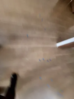 RJRプレシア吉塚駅前【11階】のその他画像