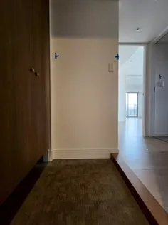 RJRプレシア吉塚駅前【11階】の玄関