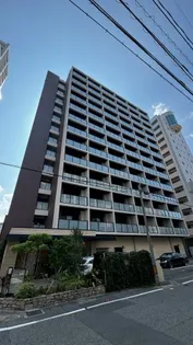 IN SHAPE港の画像