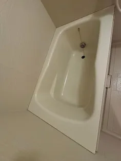 レジディア天神南【14階】の風呂