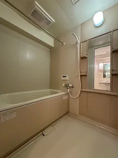 レジディア天神南【14階】の風呂