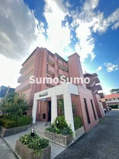 ジョイ ディールの画像