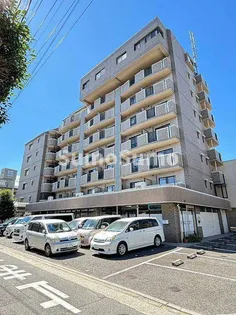 コスモコートの画像