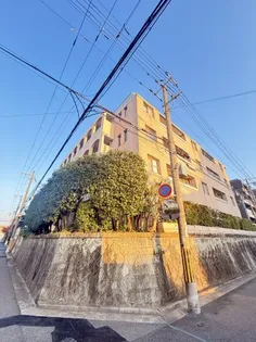 セレッソコート芦屋ガレリア【3階】の外観