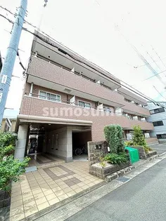 サン ブルームの画像