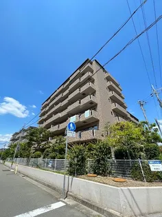 レジェンダリー小松【7階】の外観