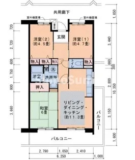 兵庫県神戸市東灘区鴨子ケ原2丁目【マンション】の間取り