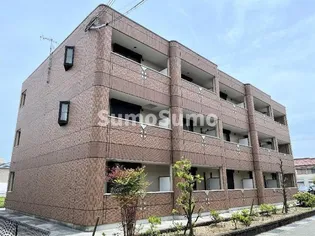 サンモール和坂【33階】の外観