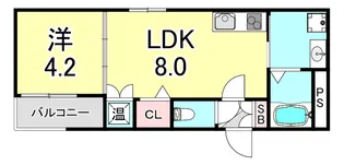 F asecia dumalis【2階】の間取り