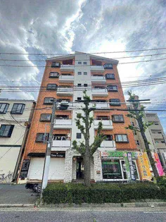 カサパロマ水木の画像