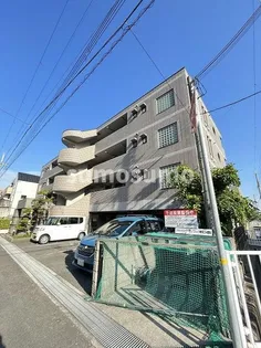 アクティモリノブの画像