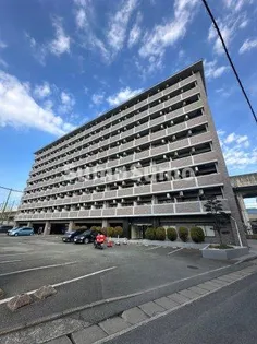 ジュネスドミールの画像