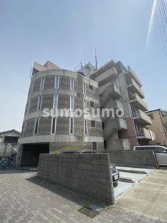 Y'Sコート蘭びっくの画像