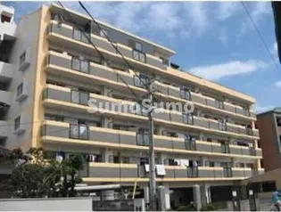 エリーナ箱崎の画像