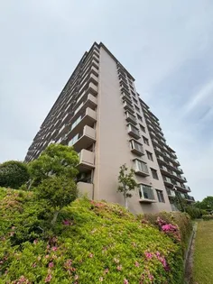 ルネ須磨の画像