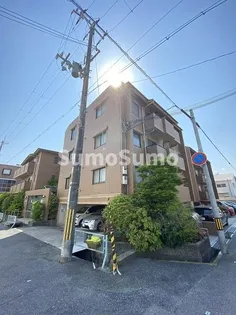 メゾン ド レグルスの画像