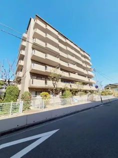 レジェンダリー小松の画像