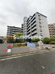 パディフィールドMの画像