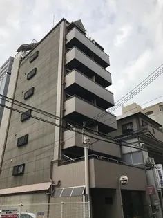 プリムローズの画像