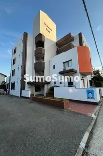 メゾンドールの画像