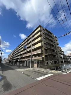 セルヴァ塚口ウィングマスターズウィングの画像