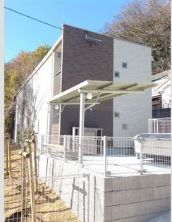 クレイノヤマボウシの外観