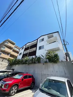 ミニヨンコートの画像