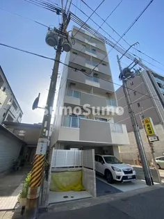 コートベルフラワーの画像