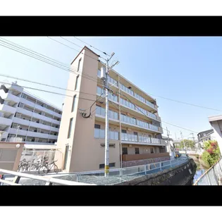 SOPHIA TOKUNAGAIIIの画像