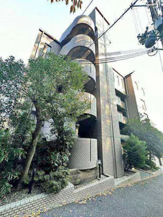 デュコムワイズの画像