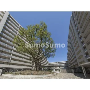 シティコート目黒2号棟【3階】の外観