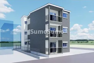 シエーナ立花の画像