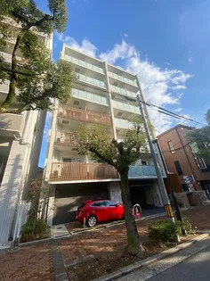 VERDE与古道の画像