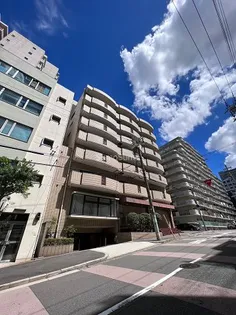 レトワールトキワの画像