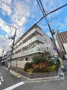 アルバ立花の画像